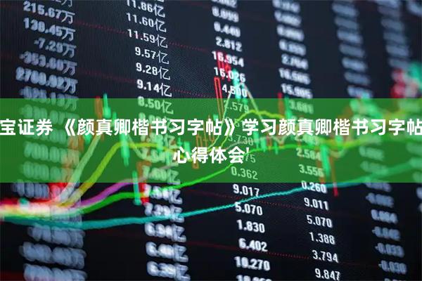 申宝证券 《颜真卿楷书习字帖》学习颜真卿楷书习字帖的心得体会'