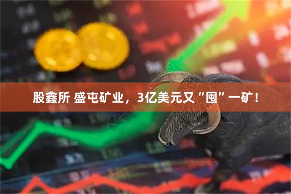 股鑫所 盛屯矿业，3亿美元又“囤”一矿！