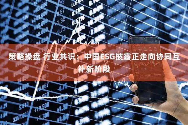 策略操盘 行业共识：中国ESG披露正走向协同互补新阶段